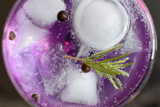 Nahaufnahme eines winterlich dekorierten Cocktails mit Rosmarin und Eiswürfeln, der lila schimmert