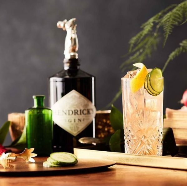Hendrick's Gin wenn Gurke auf Rosenblätter trifft Tasting & Tonic Water
