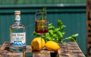 The Duke Gin Test & Tasting