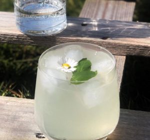 Cocktail mit Botanist Gin