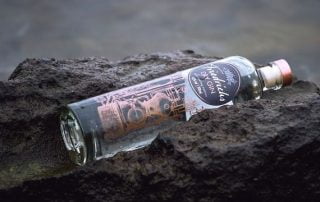 Friedrichs Dry Gin Flasche eingebettet in dunkles Gestein
