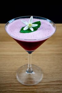 Berry Sour Cocktail mit Friedrichs Gin