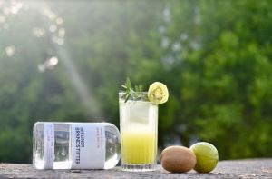 Kiwi Smash Cocktail mit Berliner Brandstifter Gin