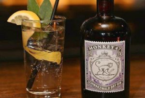 Monkey 47 Gin Tasting & passende Tonic Water