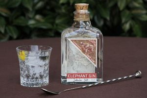 Test & Tasting des Elephant Dry Gin