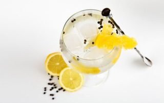 Gin Zubehör für Cocktails