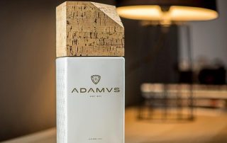 Adamus Dry Gin im Test & Tasting