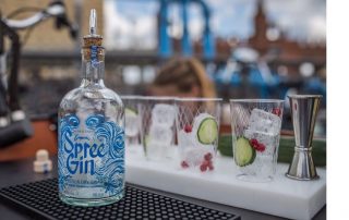Spree Gin im Test & Tasting