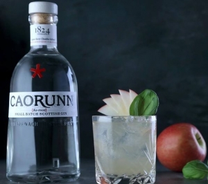 der schottische Caorunn Gin im Test & Tasting