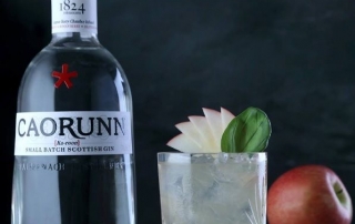 der schottische Caorunn Gin im Test & Tasting