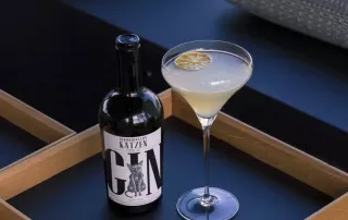 Schrödinger’s Katzen Gin im Test & Tasting