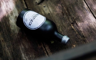 Wildstueck Danube Dry Gin im Test & Tasting