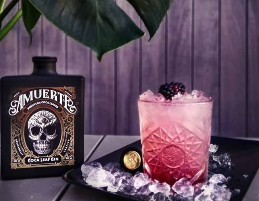Amuerte Coca Leaf Gin mit Koka & Drachenfrucht ginliebhaber.de