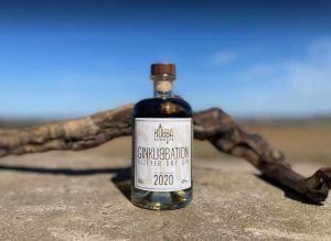 Ginkubbation Dry Gin Flasche