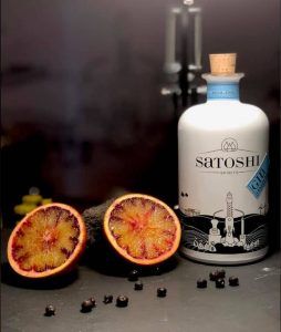 Satoshi London Dry Gin im Test & Tasting