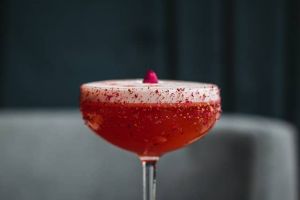 roter Cocktail mit Gin der Clover Club
