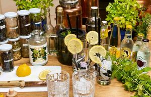 Auswahl an Gin Botanicals, einer Destille im Hintergrund, Tonic Water und 2 Gin Tonics