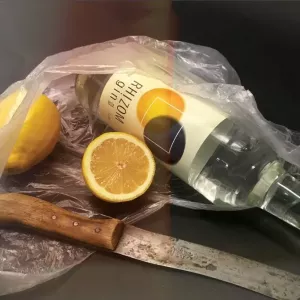 Abyme Rhizom Gin Flasche in einer Tüte mit Zitronen und einem Messer