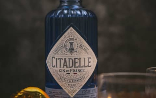 Citadelle Gin im Test & Tasting